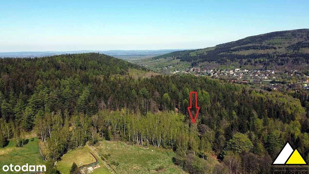 Dobra inwestycja. Działka Świeradów - Pełny obrazek: 3/10