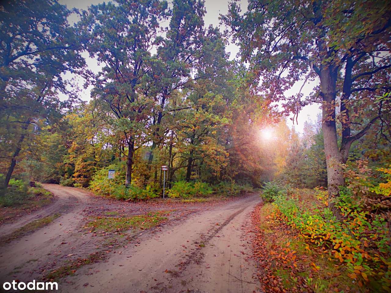 Działka, na której stanie Twój dom!-3