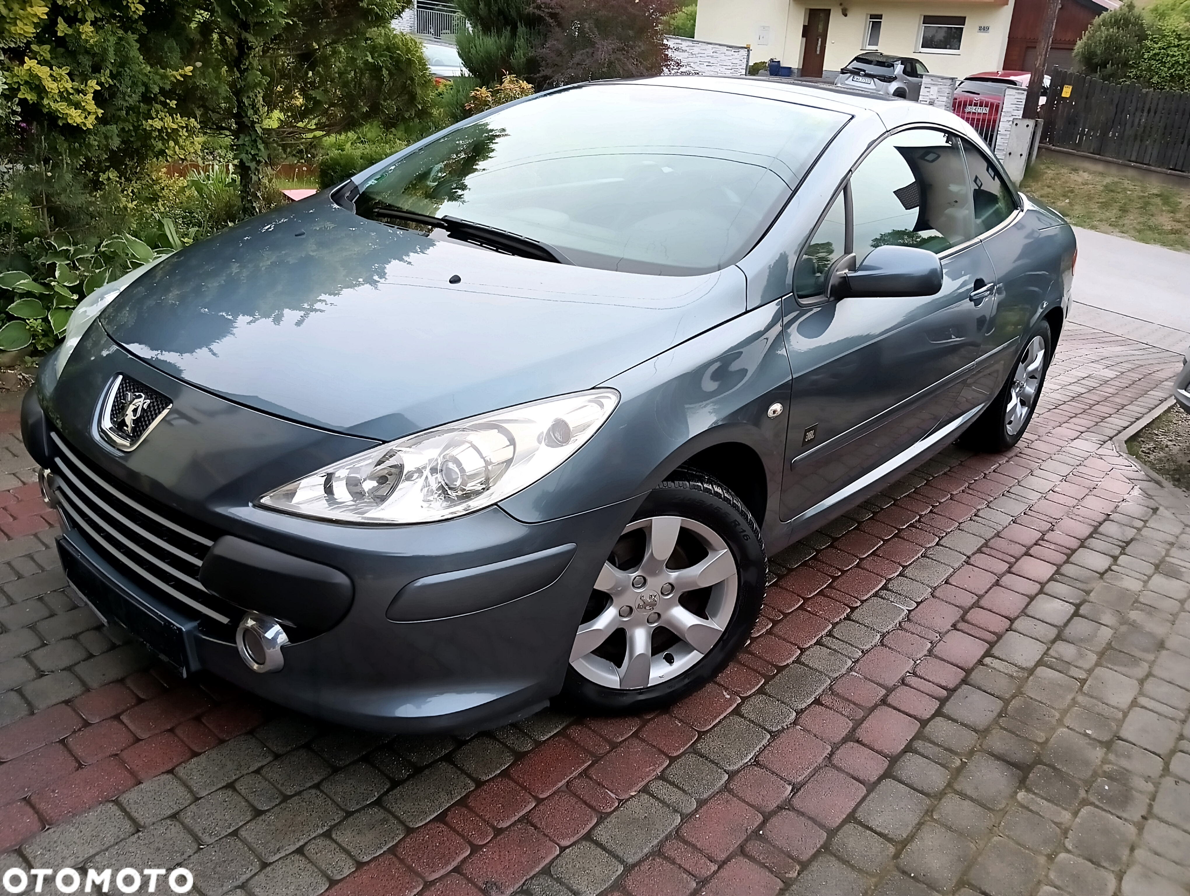 Peugeot 307 CC 110 JBL - 3