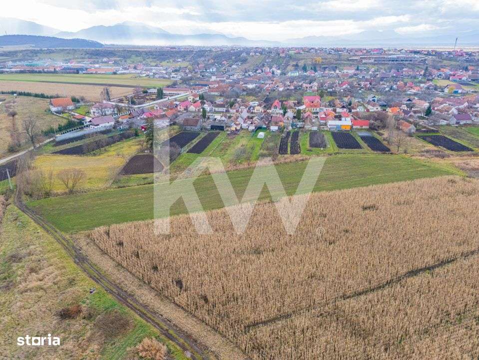 Teren 10000 mp in Extravilan, Bod, Brasov- COMISION 0%-6