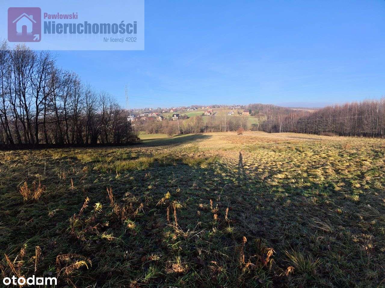 Działka, 9 325 m², Grabie-5