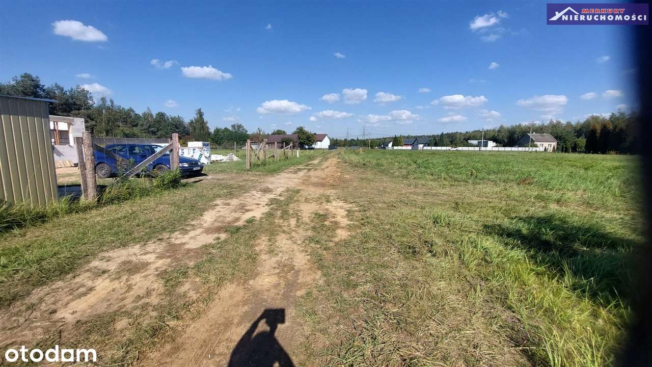 Na nowym osiedlu w pobliżu lasu-3