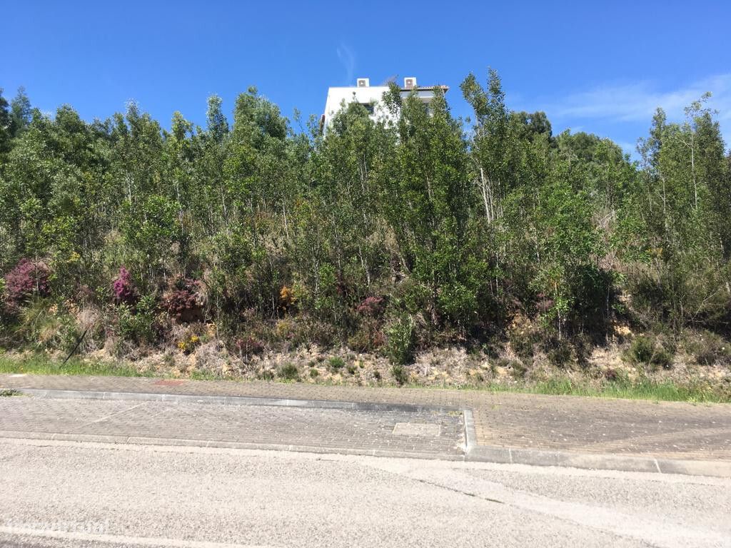 Lote para construção em zona de São Martinho do Bispo - Grande imagem: 2/2