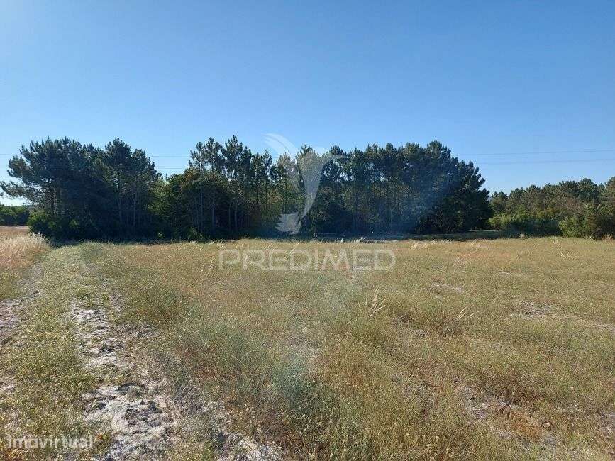 Terreno rustico 14280m2 na região de Aljezur Algarve - Grande imagem: 2/9