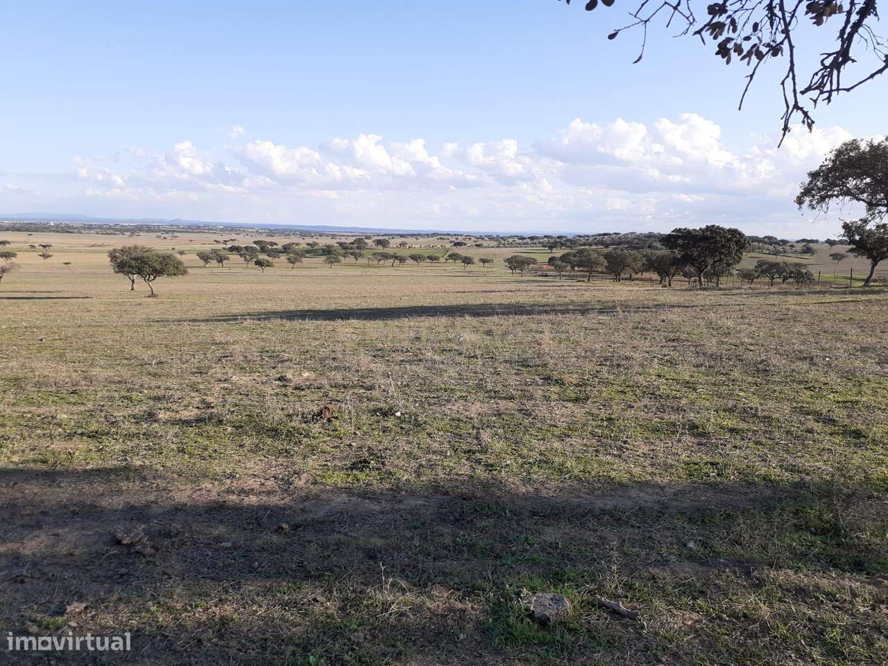 Baldio do Peral e Courela das Caldeiras - Cabeça de Carneiro - Grande imagem: 5/27