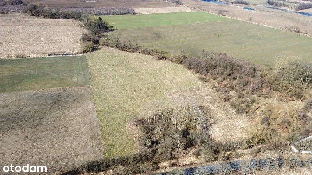 Działka rolno-inwestycyjna Kozy gm. Dobrzany - Pełny obrazek: 3/5