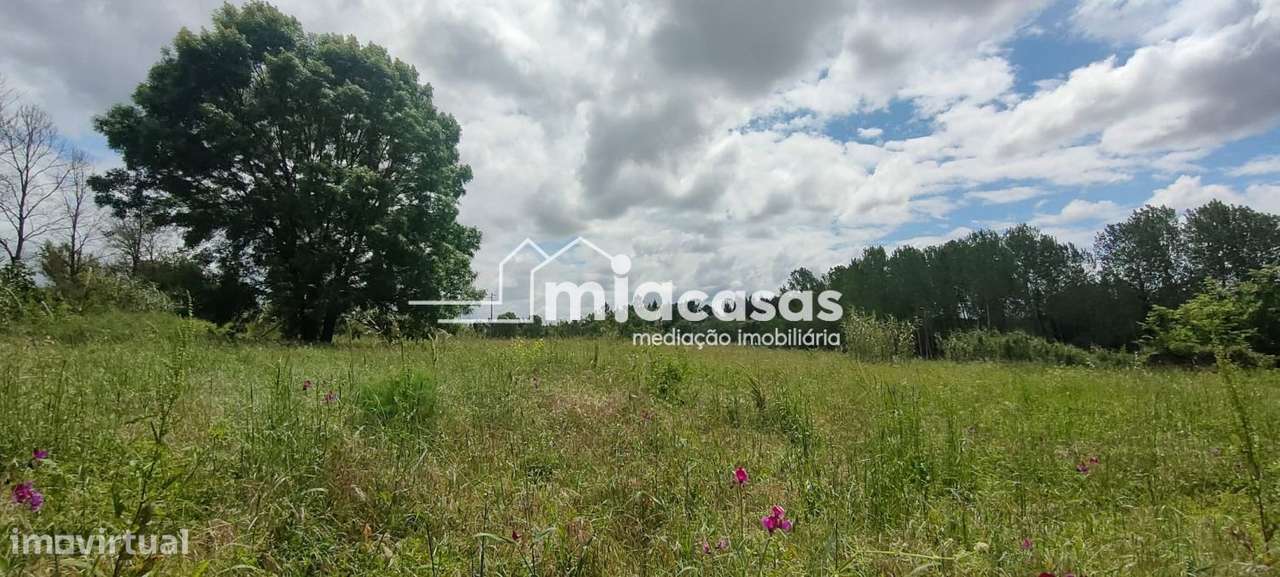 TERRENO URBANO COM DUAS MORADIAS - Grande imagem: 4/15