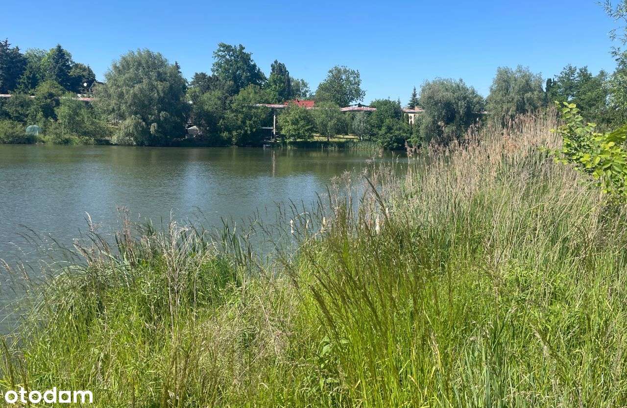 Działka budowlana nad stawem - Pełny obrazek: 5/8