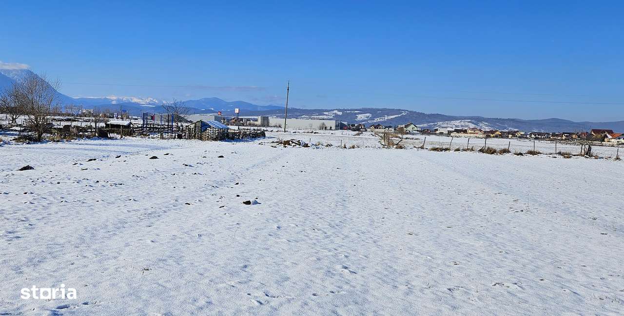 Teren intravilan în Râșnov – zonă rezidențială, vedere panoramică! - Imagine principală: 4/4