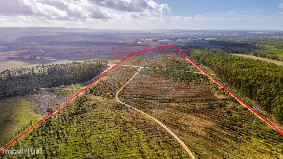 Herdade Agrícola com potencial turístico-8