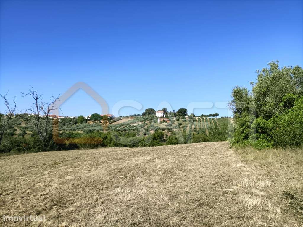Terreno urbanizável Concelho Santarém - Grande imagem: 3/15
