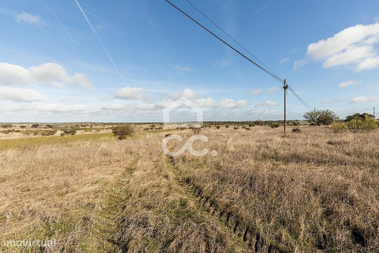 Terreno de 5,4 ha c/ Viabilidade de Construção | Capelins, Alandroal-7