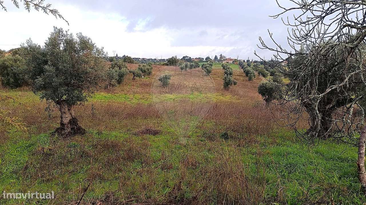 Terreno  para venda - Grande imagem: 2/5