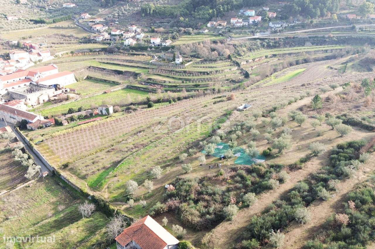 Quinta do Mosteiro de Salzedas com mais 17 ha e património histórico-4