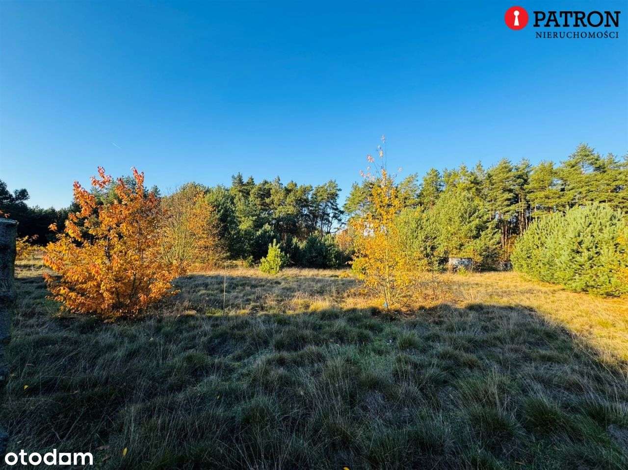 Sprzedam działkę o pow. 2 438 m² w Rurzycy-9