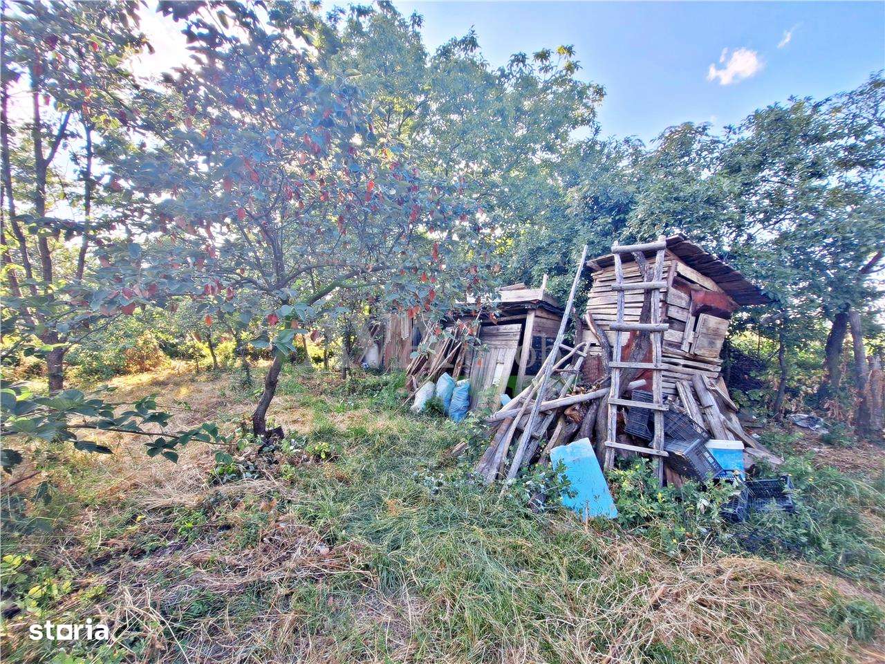 Teren intravilan 2787 MP + casa batraneasca | Galbeni, Filipesti - Imagine principală: 5/12
