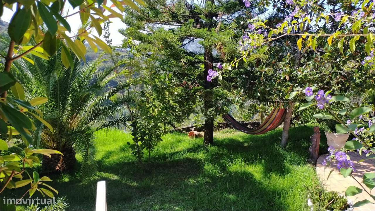 Moradia isoladaT3 com piscina e campo, vistas sobre o Rio Douo - Grande imagem: 4/33