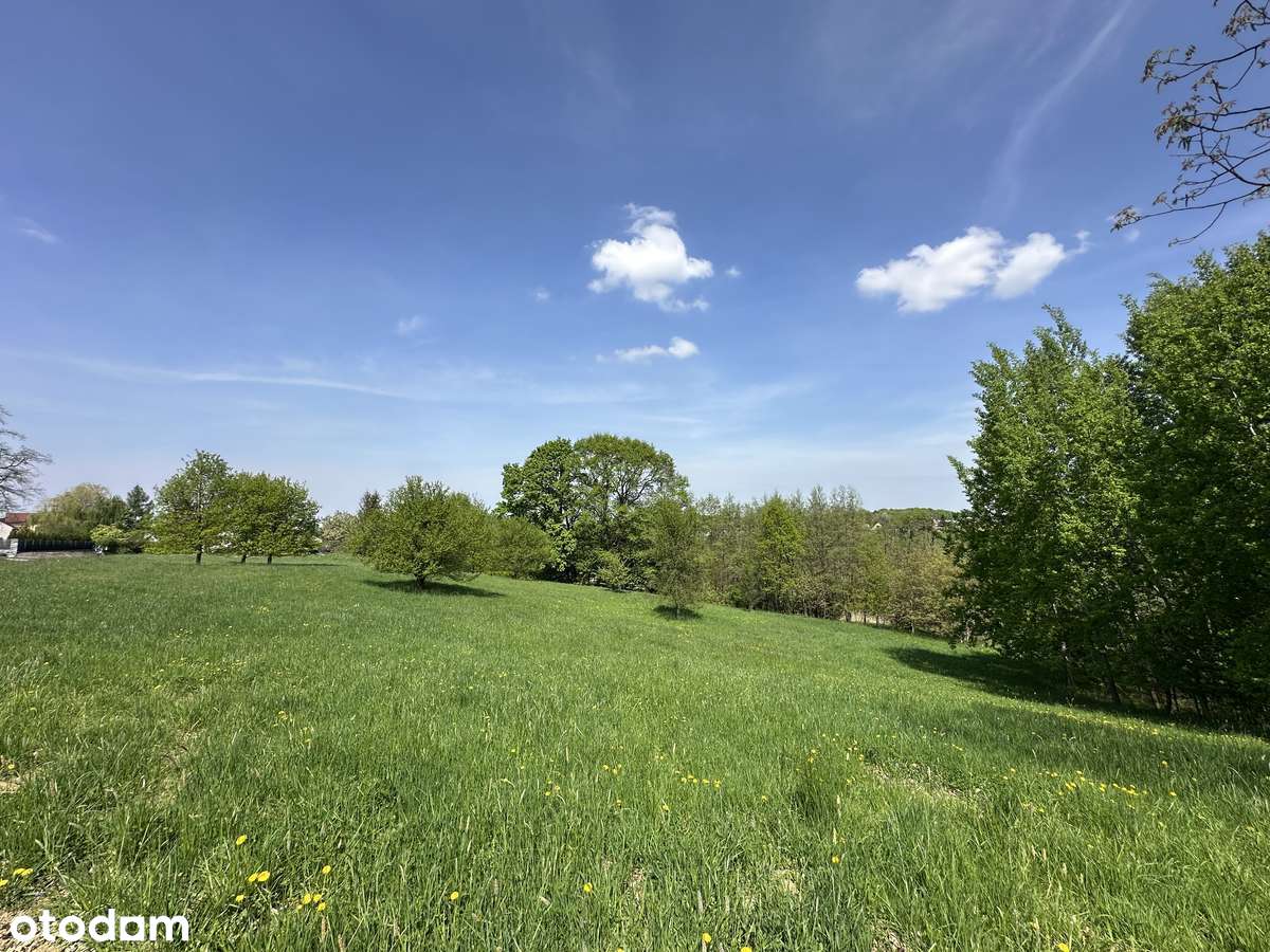 Duża piękna działka 10 km od Tarnowa - Zgłobice - Pełny obrazek: 5/10