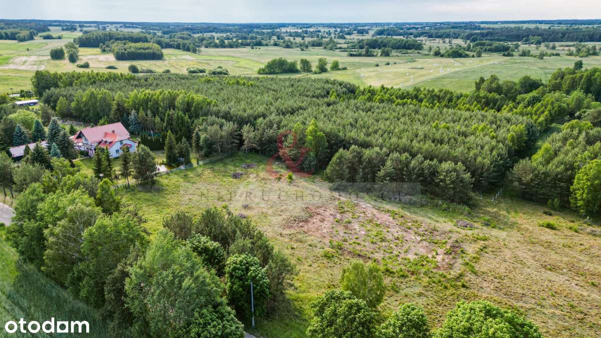 Lipy Działka na Kaszubach! - Pełny obrazek: 5/20