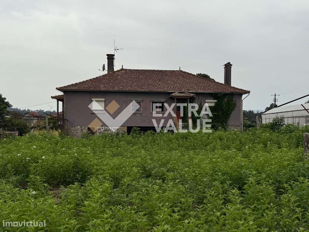 Quinta T6 Venda em Fontoura,Valença-25