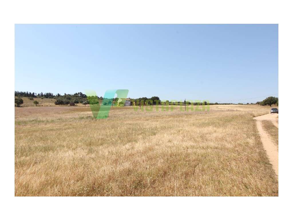 Terreno com Ruinas, 20 Hectares Área, Odiáxere. - Grande imagem: 5/8