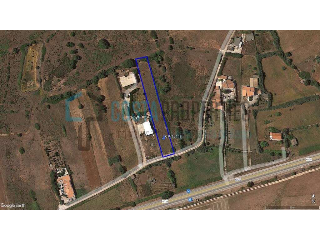 Terreno Rústico com Eletricidade perto e Bom Acesso - Grande imagem: 3/7