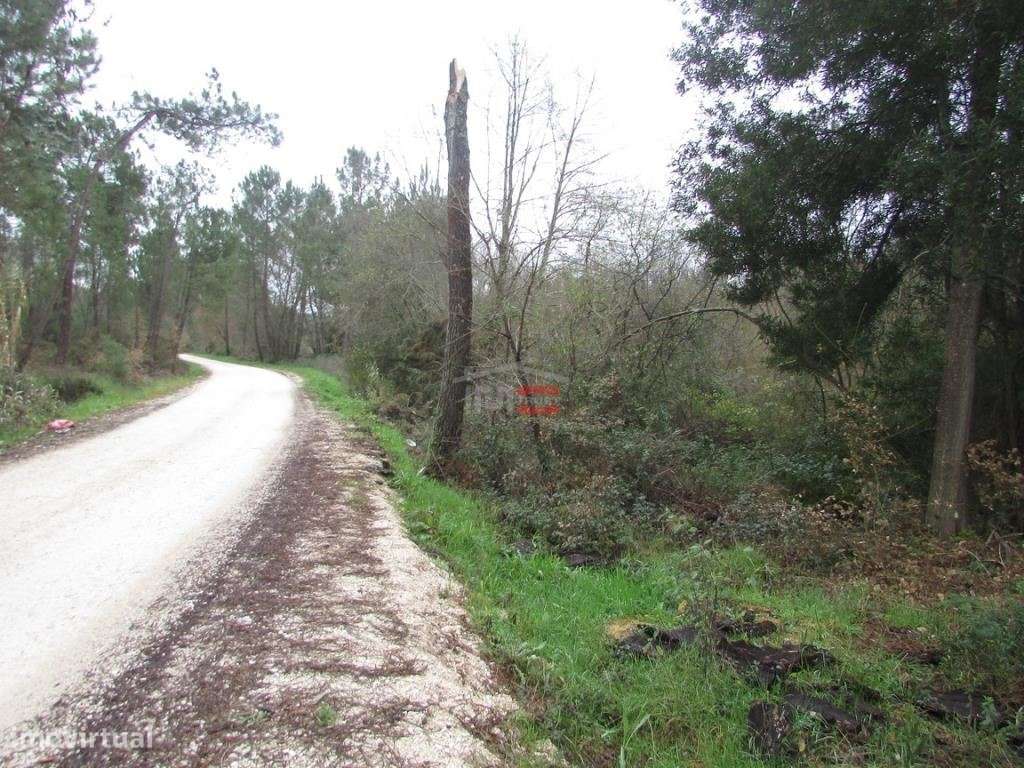 terreno c/ 1000 M2 - Grande imagem: 4/7