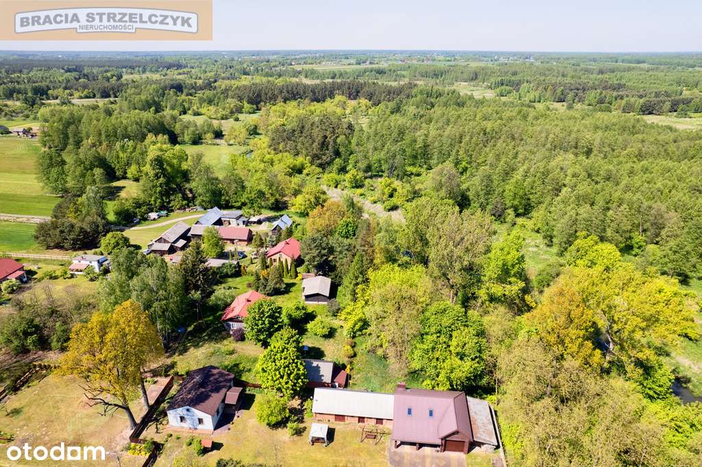 Działka, Sępochów, Świder, Gmina Kołbiel - Pełny obrazek: 4/15