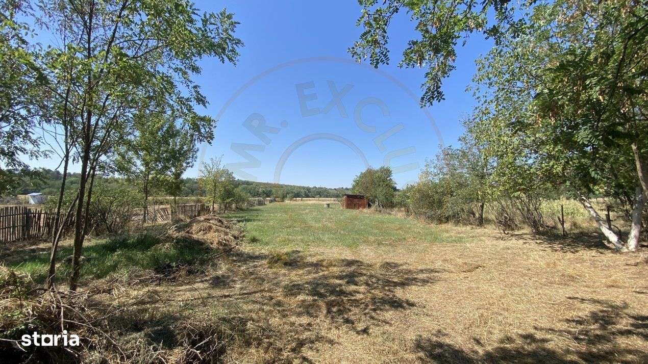 Teren 10414 mp in loc. Albota-Mares. COMISION 0% - Imagine principală: 5/5