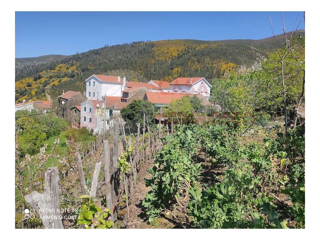 Quintinha com moradia em xisto! Casarias/Arganil. - Grande imagem: 5/22