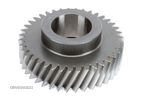 Pinion Jumatati Cutie Viteza ZF 1316 303 001 - 2