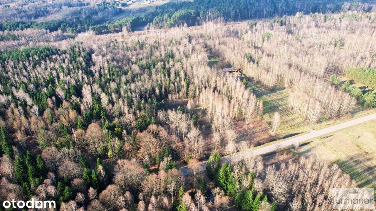 Tereny rolno - leśne 3,03 ha | Ciosmy - Pełny obrazek: 4/9