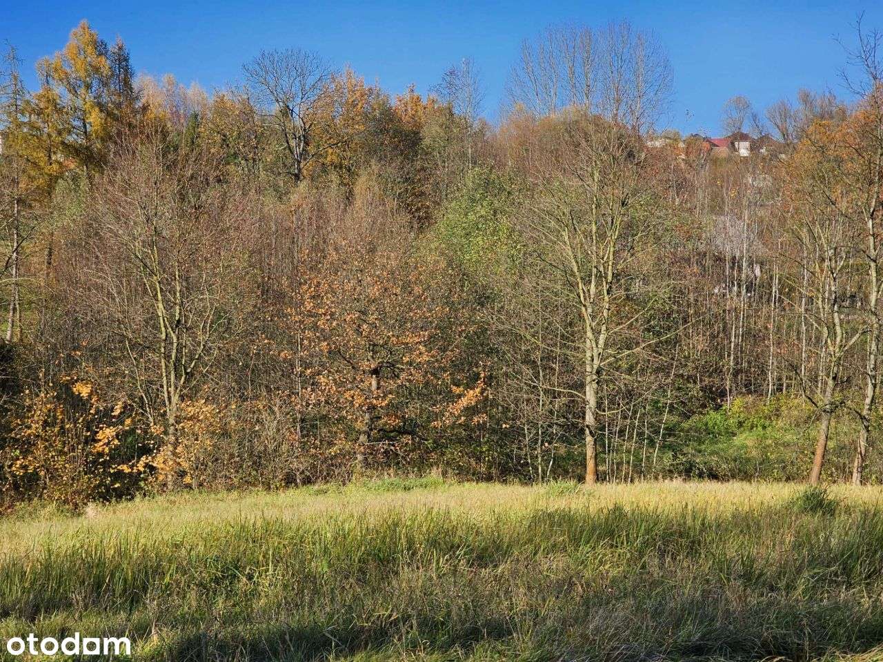 Malownicza działka budowlano-rolna w zacisznym mie - Pełny obrazek: 2/9