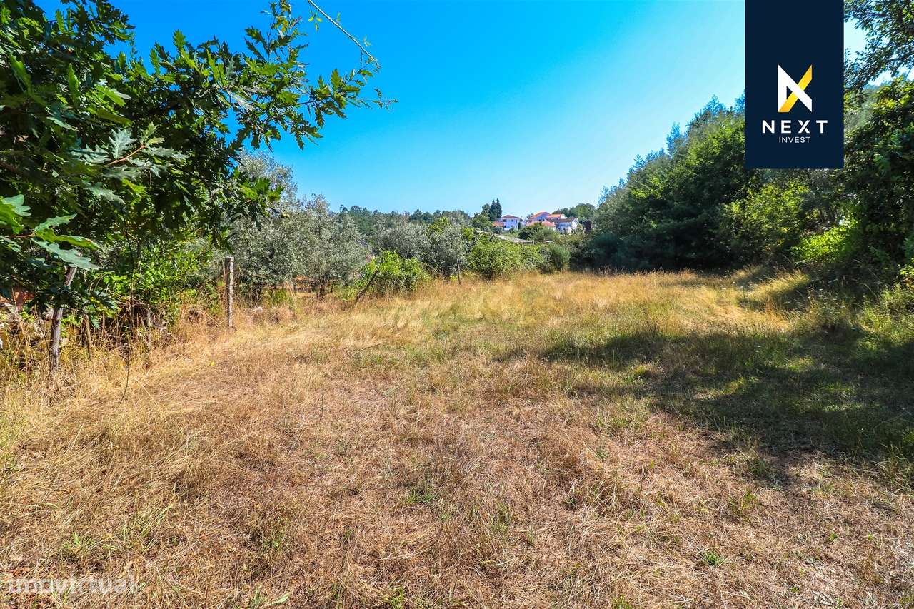 Quintinha com moradia para reconstruir a 10 minutos de Viseu.-7