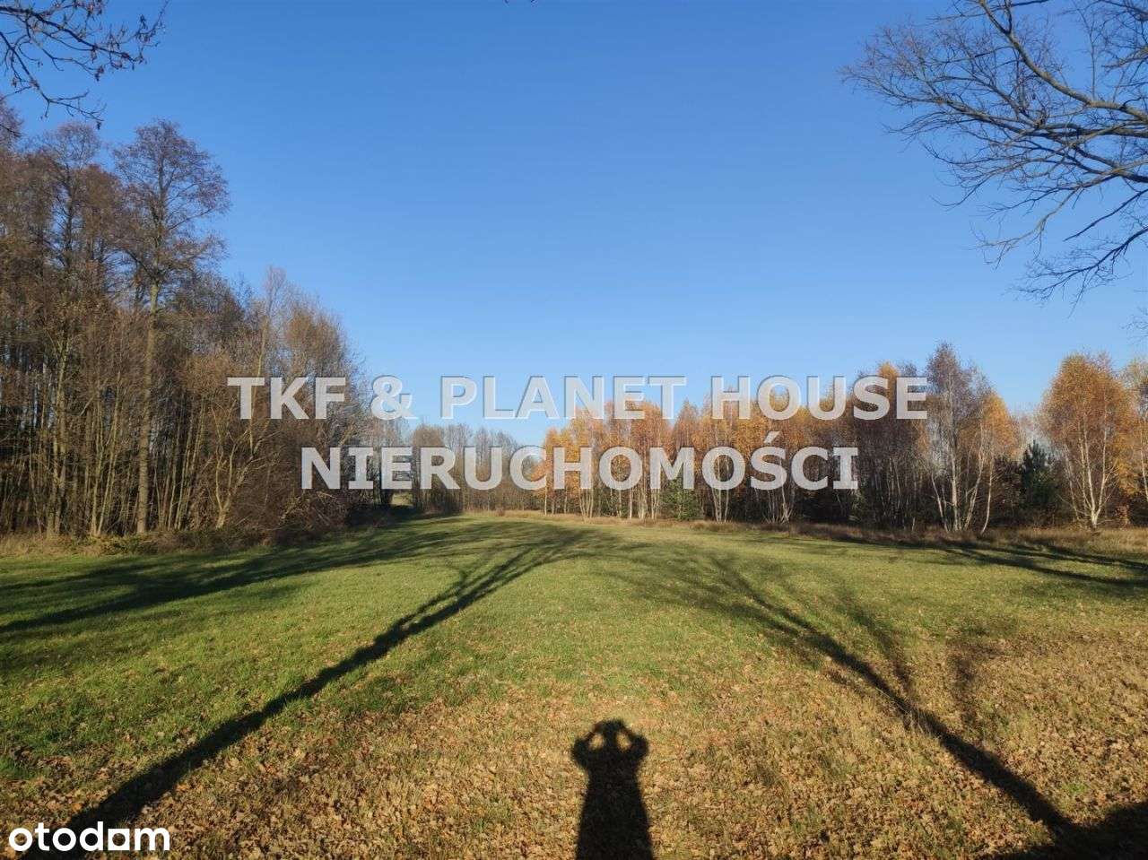 Sprzedam działkę pow.7,4ha Brudzewice Kolonia - Pełny obrazek: 4/8