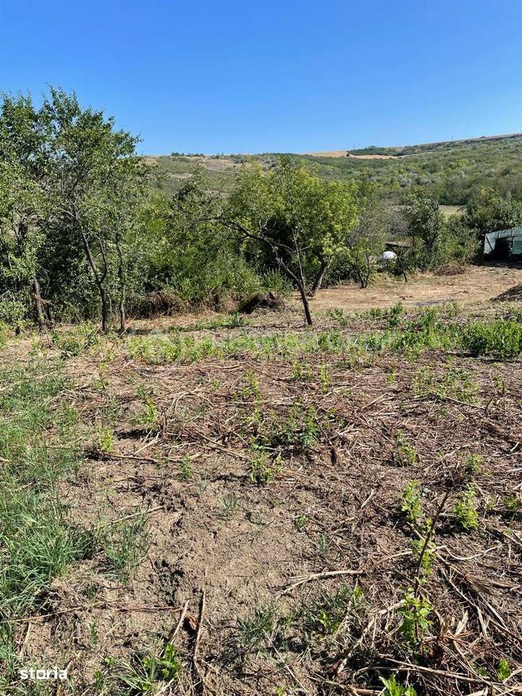 Teren intravilan, Aroneanu, 477mp - Imagine principală: 2/9