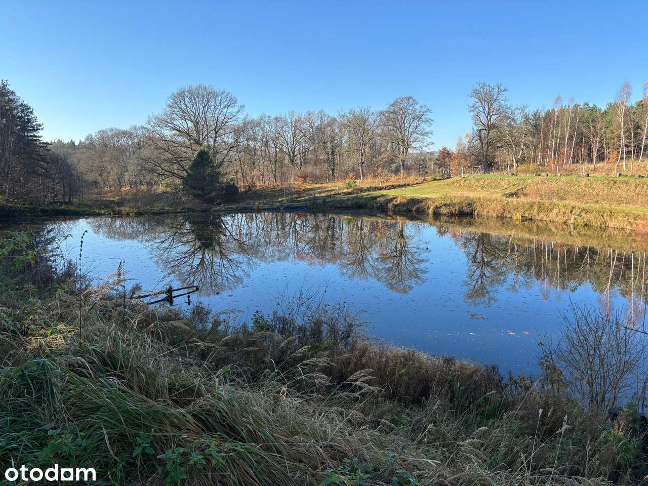 Działka siedliskowa z wydanymi warunkami zabudowy + stawy rybne-10