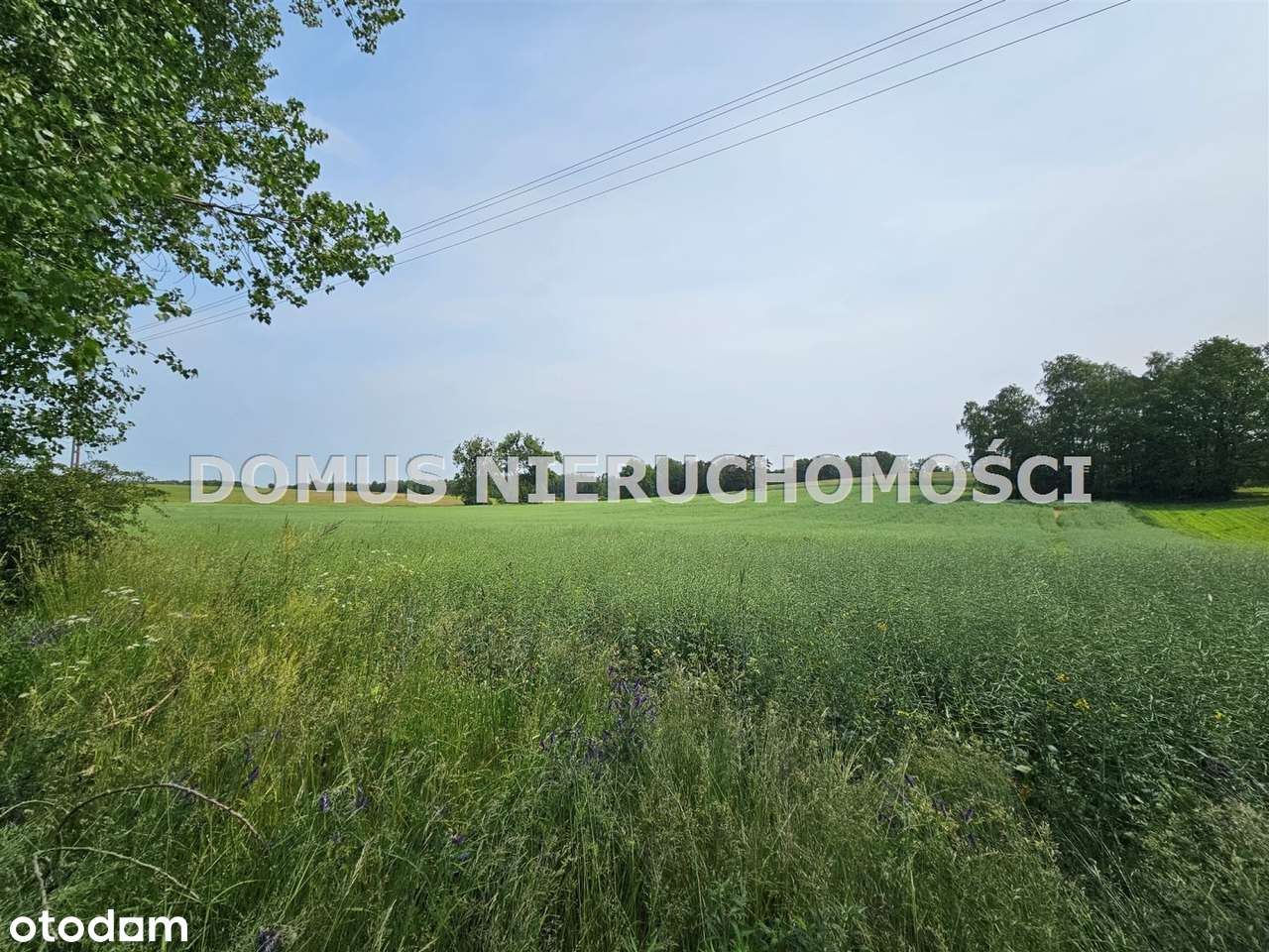 Działki na sprzedaż Gałkówek Parcela k/Koluszek.-3