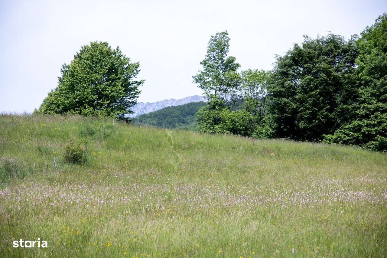 Teren intravilan - 1.050 mp în Bran cu utilitati – priveliște Bucegi-6