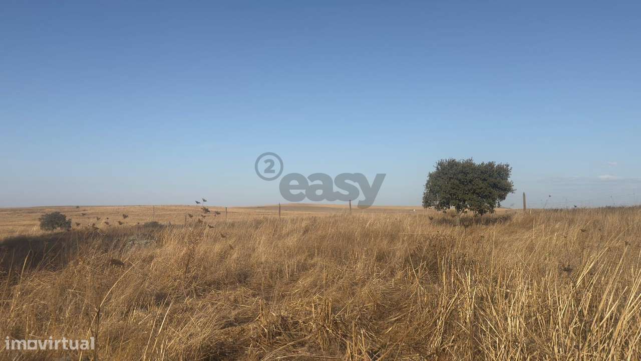 Terreno rústico com 4.5ha, Casével, Castro Verde - Grande imagem: 4/24