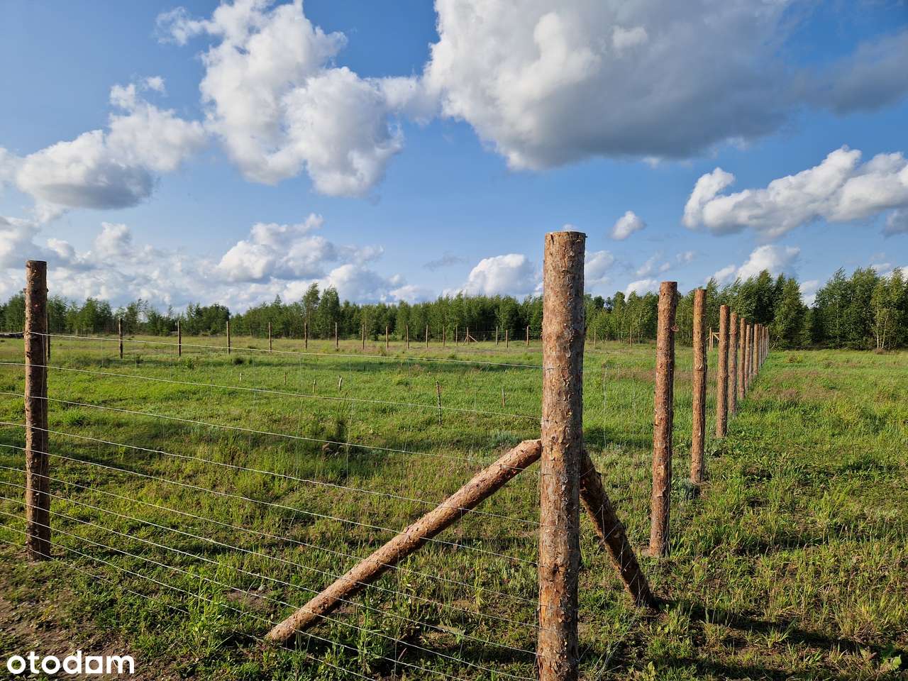 Wyjątkowa działka, idealny metraż, świetne sąsiedztwo, 15km od Chojnic - Pełny obrazek: 4/9