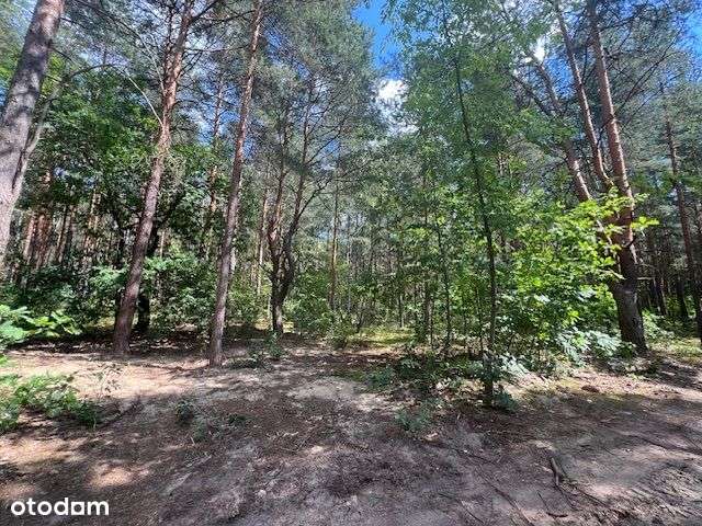 działka budowlana z wz Wawer Radość - Pełny obrazek: 5/7