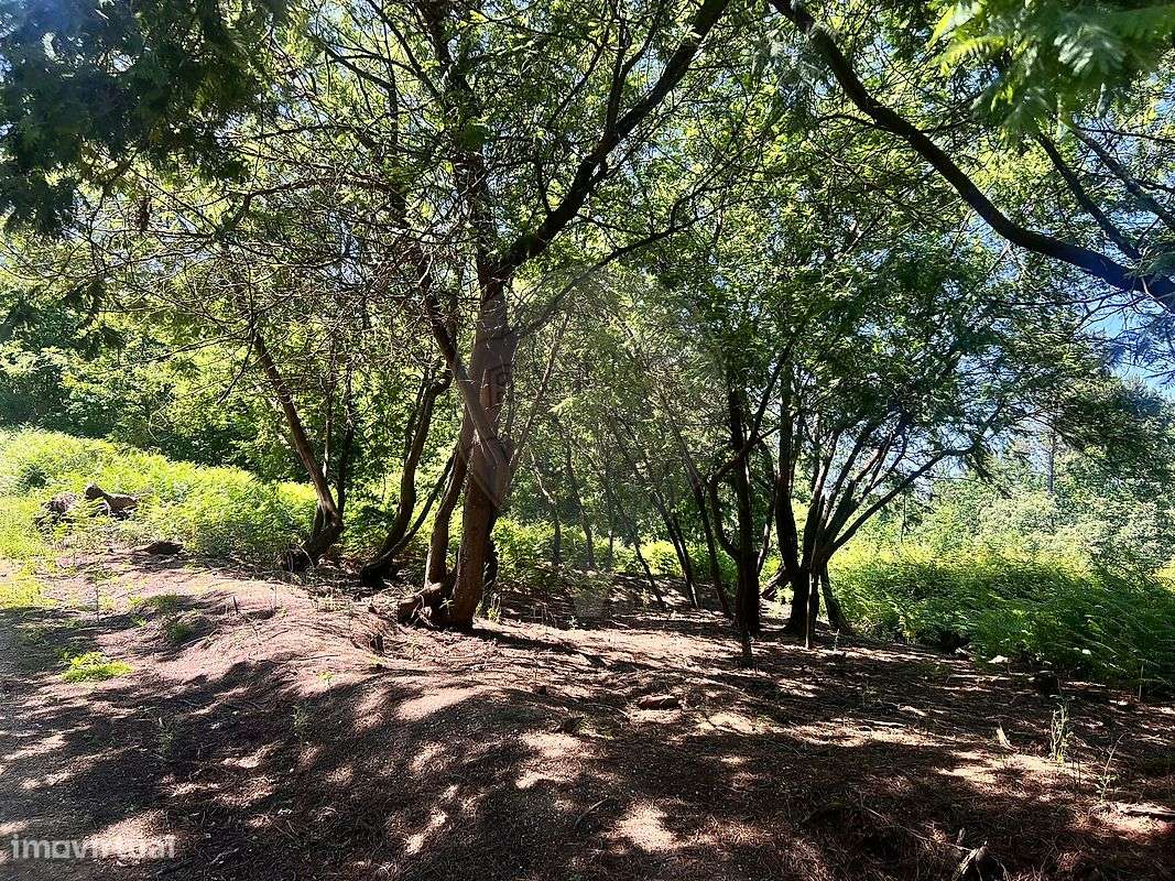 Terreno  para venda - Grande imagem: 5/6