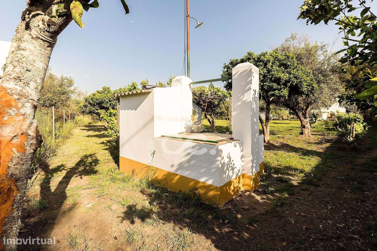 Quinta de 9250m2 c/ Moradia T4 térrea, anexo e armazém | Azaruja-26