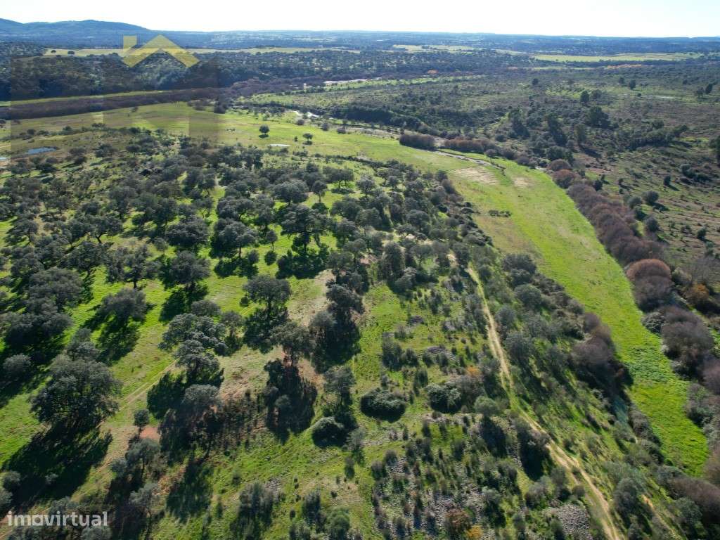 Propriedade com 24ha à beira rio. - Grande imagem: 4/33