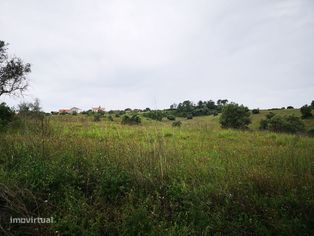 Terreno 57ha Santarém - Grande imagem: 5/11