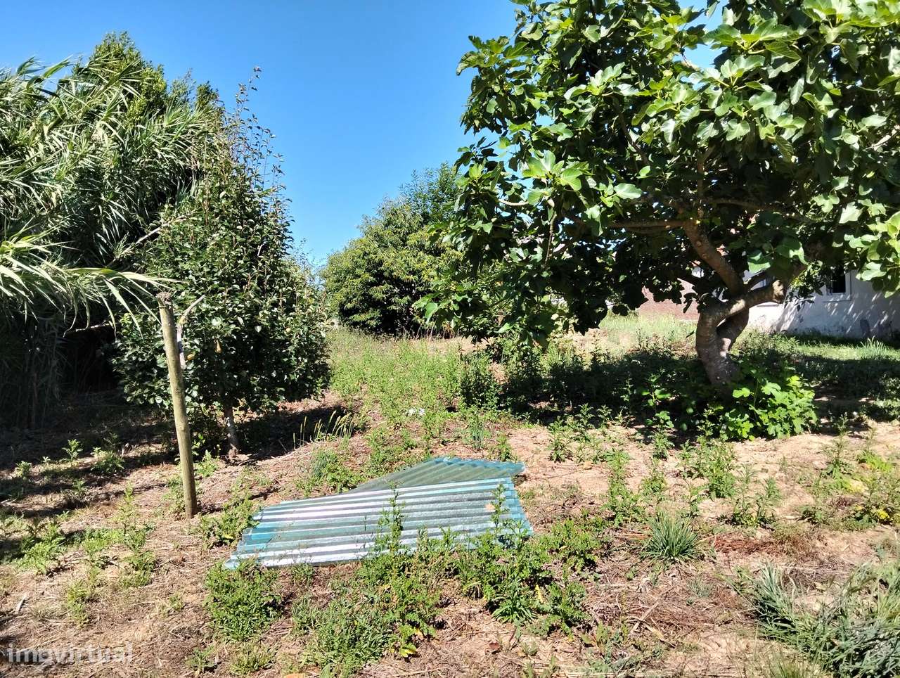 Moradia com terreno c/2 artigos Casal Jorge Dias -Alcobaça-28