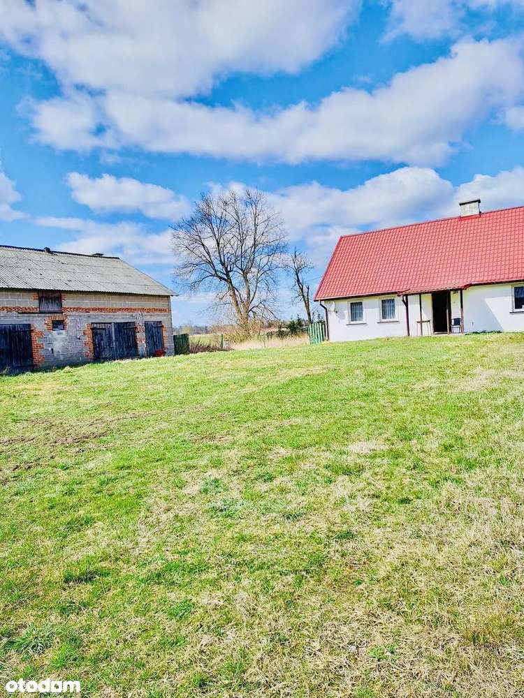 Siedlisko - Pełny obrazek: 3/11