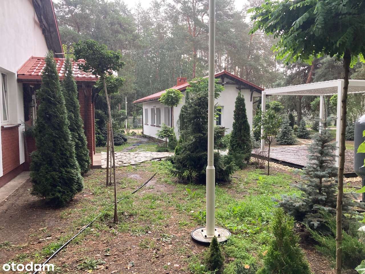 Biura o pow. 120, 220, 350 m2 w otulinie lasu