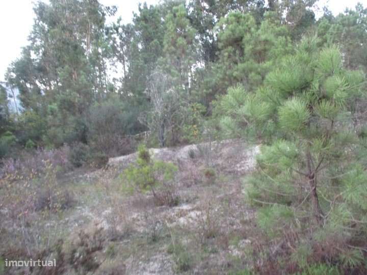 Terreno em São Pedro do Sul, Sul - Grande imagem: 5/9